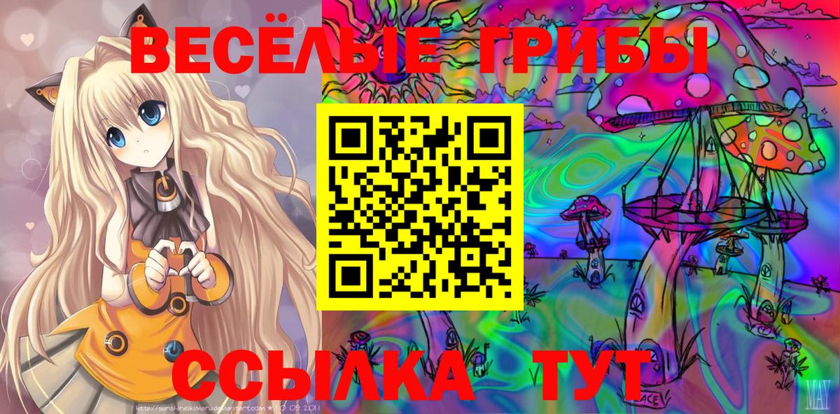 Галлюциногенные грибы Курчатов